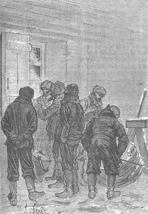 В стране мехов В стране мехов