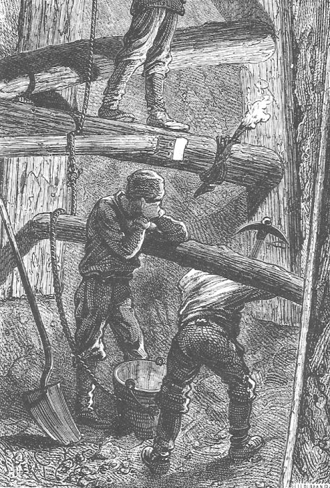 В стране мехов В стране мехов