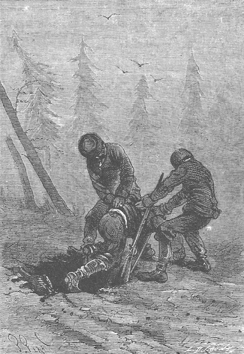 В стране мехов В стране мехов