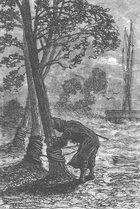 В стране мехов В стране мехов