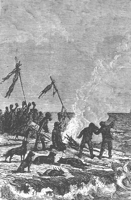 В стране мехов В стране мехов