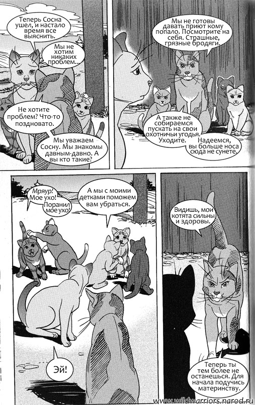 Звездоцап и Саша: Возвращение в племена