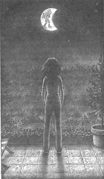 Колючник Колючник