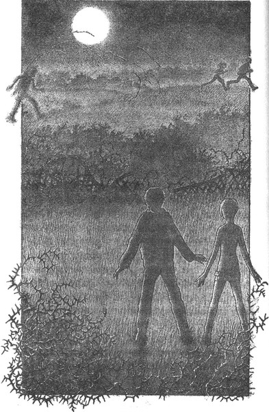 Колючник Колючник