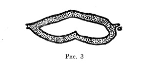 Сборник «Рассказы» 1845 Сборник «Рассказы» 1845