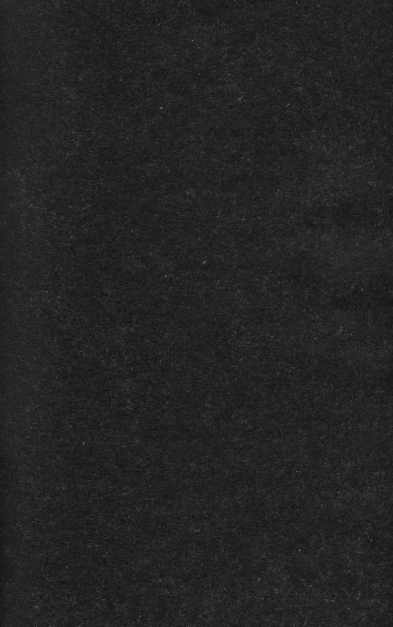 Тени во льдах. Том 2