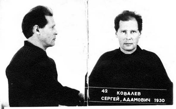 Диссиденты Диссиденты