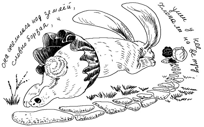 Печенька, или История Красавицы Печенька, или История Красавицы