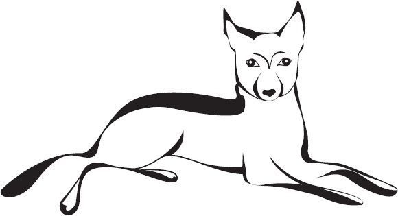 Кошки, собаки и… другие люди. Невыдуманные истории спасения Кошки, собаки и… другие люди. Невыдуманные истории спасения