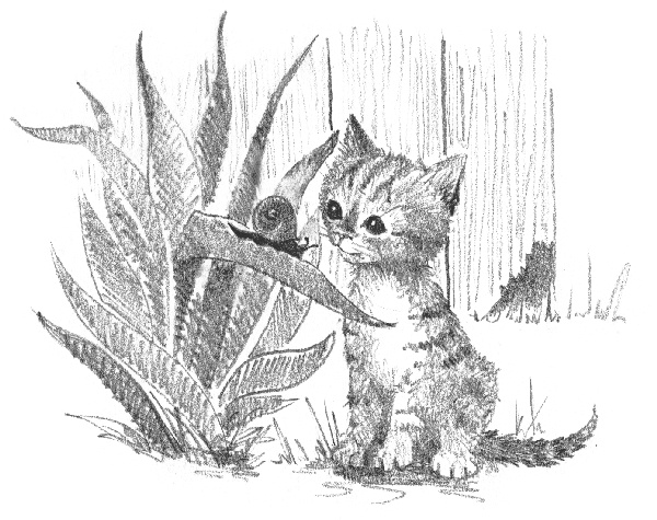 Котенок Звездочка, или Двойной сюрприз Котенок Звездочка, или Двойной сюрприз