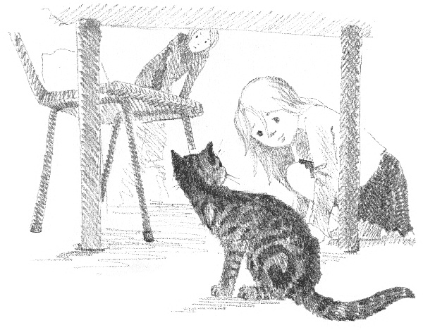 Котенок Звездочка, или Двойной сюрприз Котенок Звездочка, или Двойной сюрприз