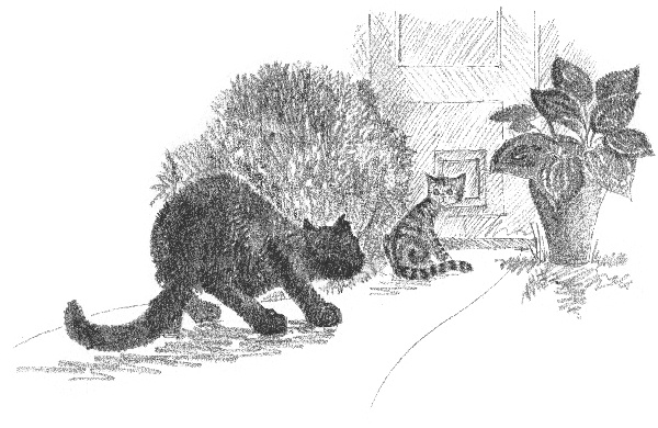 Котенок Звездочка, или Двойной сюрприз Котенок Звездочка, или Двойной сюрприз