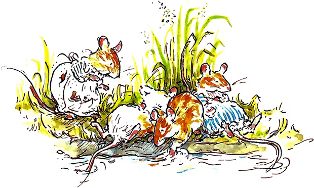 Сказки и истории Ежевичной поляны (сборник) Сказки и истории Ежевичной поляны (сборник)