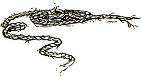 Сказки и истории Ежевичной поляны (сборник) Сказки и истории Ежевичной поляны (сборник)