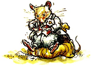 Сказки и истории Ежевичной поляны (сборник) Сказки и истории Ежевичной поляны (сборник)