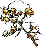 Сказки и истории Ежевичной поляны (сборник)