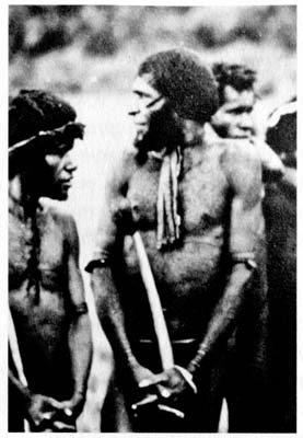 Затерянные в Шангри-Ла