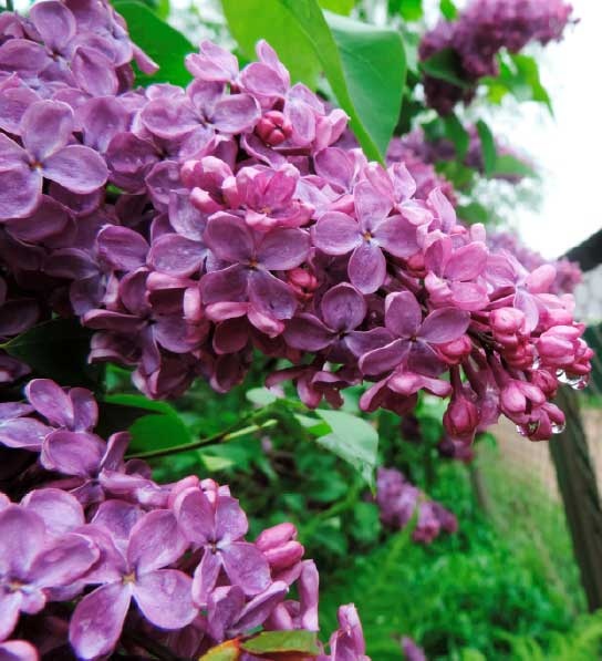 За миг до откровения За миг до откровения