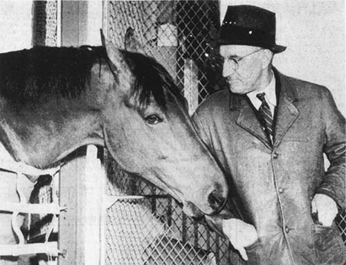 Фаворит. Американская легенда