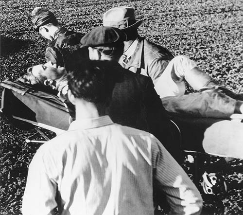 Фаворит. Американская легенда