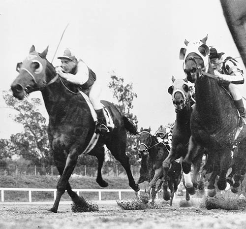 Фаворит. Американская легенда