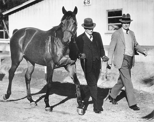 Фаворит. Американская легенда