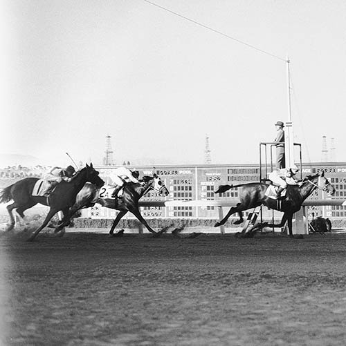 Фаворит. Американская легенда