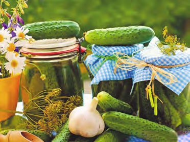 Быстрое консервирование. Холодное и горячее. Овощи, грибы, зелень, фрукты, ягоды Быстрое консервирование. Холодное и горячее. Овощи, грибы, зелень, фрукты, ягоды