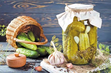 Быстрое консервирование. Холодное и горячее. Овощи, грибы, зелень, фрукты, ягоды Быстрое консервирование. Холодное и горячее. Овощи, грибы, зелень, фрукты, ягоды