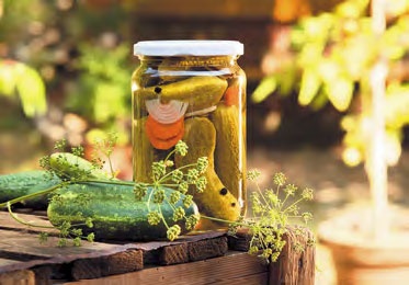 Быстрое консервирование. Холодное и горячее. Овощи, грибы, зелень, фрукты, ягоды Быстрое консервирование. Холодное и горячее. Овощи, грибы, зелень, фрукты, ягоды