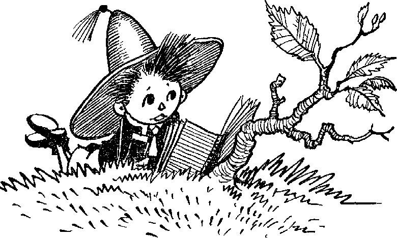 Незнайка в Солнечном городе Незнайка в Солнечном городе