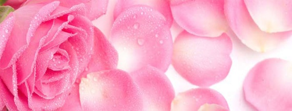 Свадьба леди Клайв Свадьба леди Клайв