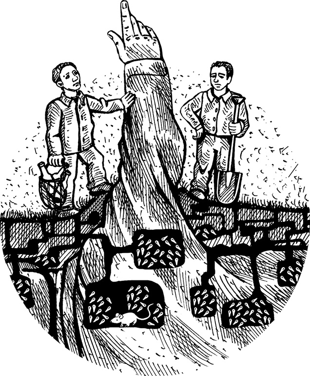 Места не столь населенные Места не столь населенные