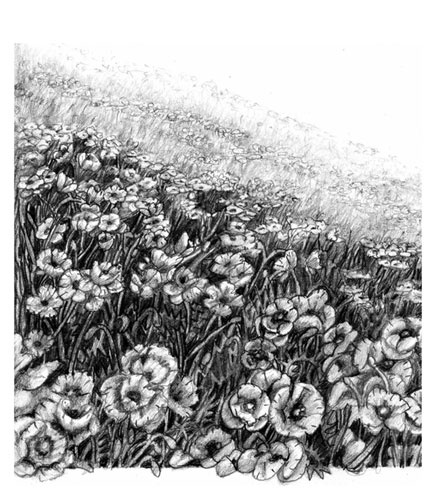 Mischling. Чужекровка