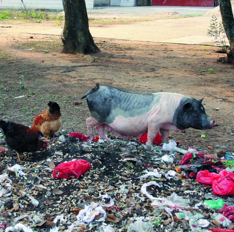 "Злой дворник". Чистая правда о грязной работе