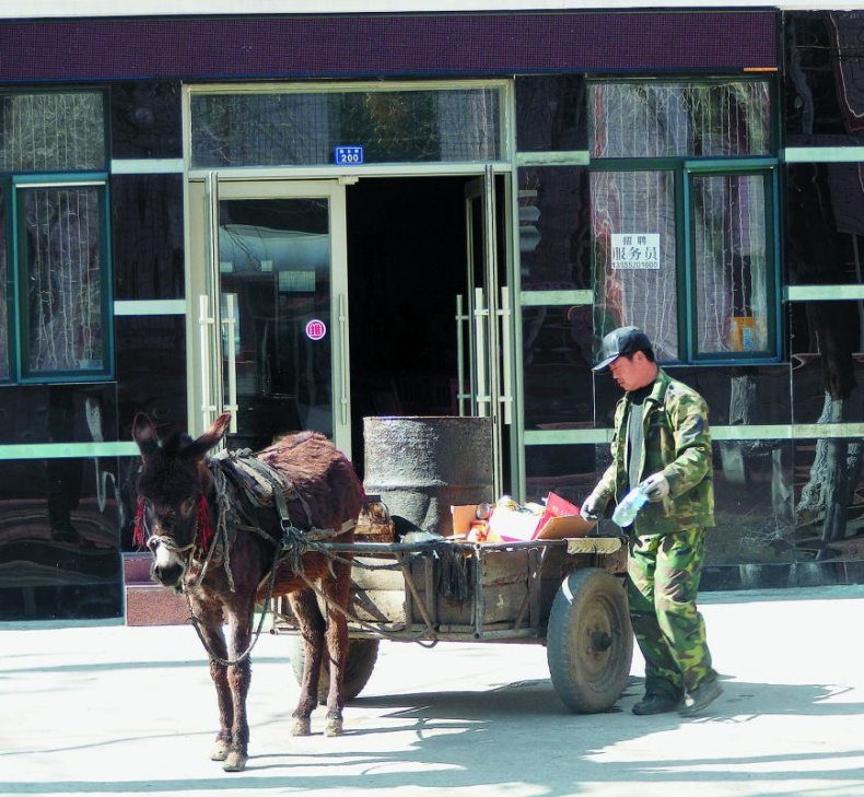 "Злой дворник". Чистая правда о грязной работе