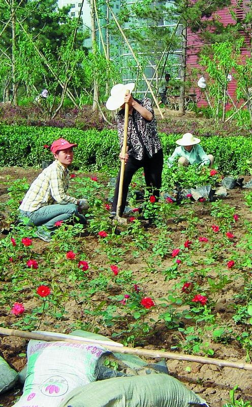 "Злой дворник". Чистая правда о грязной работе