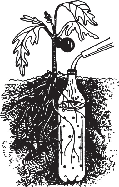 Высокие грядки своими руками. Три урожая за сезон