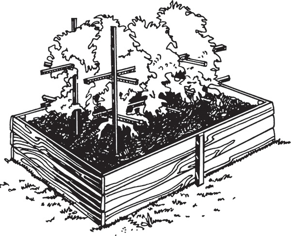 Высокие грядки своими руками. Три урожая за сезон