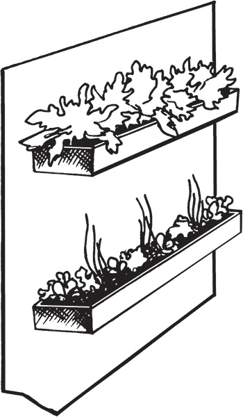 Высокие грядки своими руками. Три урожая за сезон