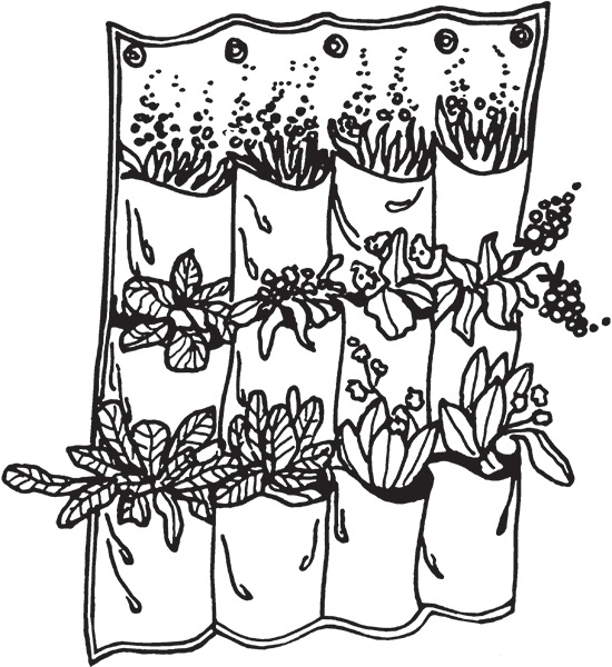 Высокие грядки своими руками. Три урожая за сезон