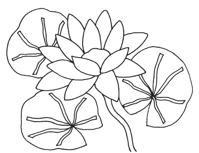 Аппликация Аппликация