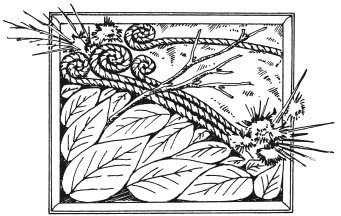 Стильная одежда для ваших стен. Отделка и декор вашего дома Стильная одежда для ваших стен. Отделка и декор вашего дома