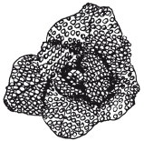 Бисер. Украшения на любой вкус Бисер. Украшения на любой вкус