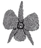 Бисер. Украшения на любой вкус Бисер. Украшения на любой вкус