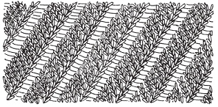 Новейшая энциклопедия вязания на спицах и крючком Новейшая энциклопедия вязания на спицах и крючком