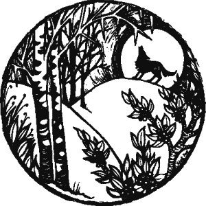 Дикая магия Дикая магия