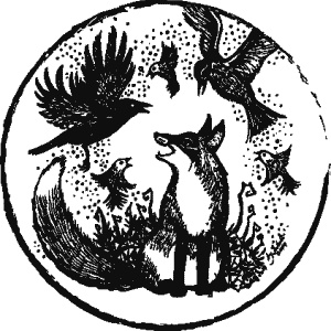 Дикая магия Дикая магия