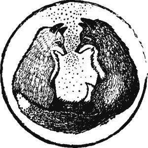 Дикая магия Дикая магия