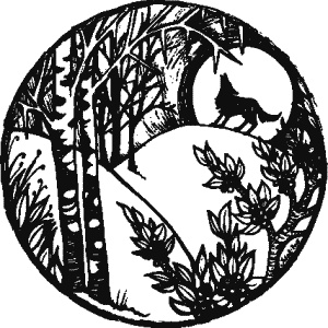 Дикая магия Дикая магия